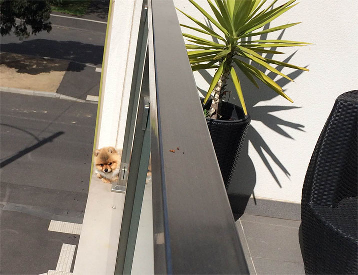 Life and Design in a Submit Pandemic Future